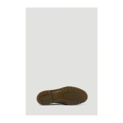 Zapatos Brogue 3989 Lisos