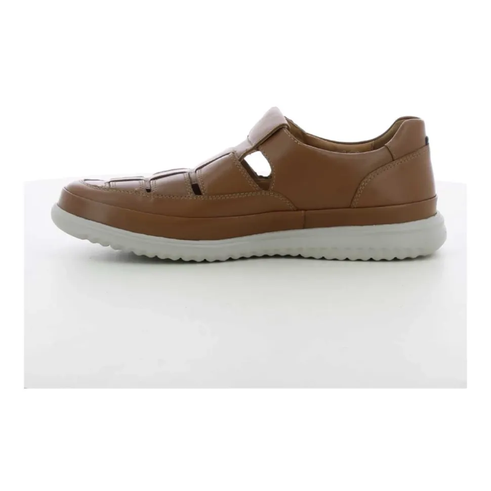 Zapatos de hombre Cognac TAREK Z25