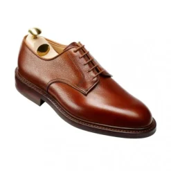 Zapatos de Negocios
