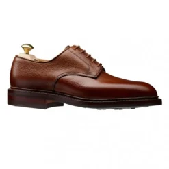 Zapatos de Negocios
