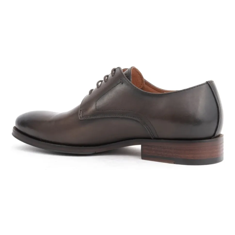 Zapatos Marrones Formales de Negocios