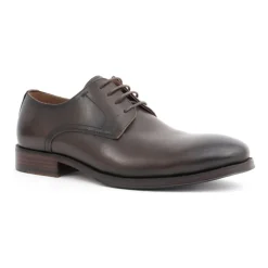 Zapatos Marrones Formales de Negocios