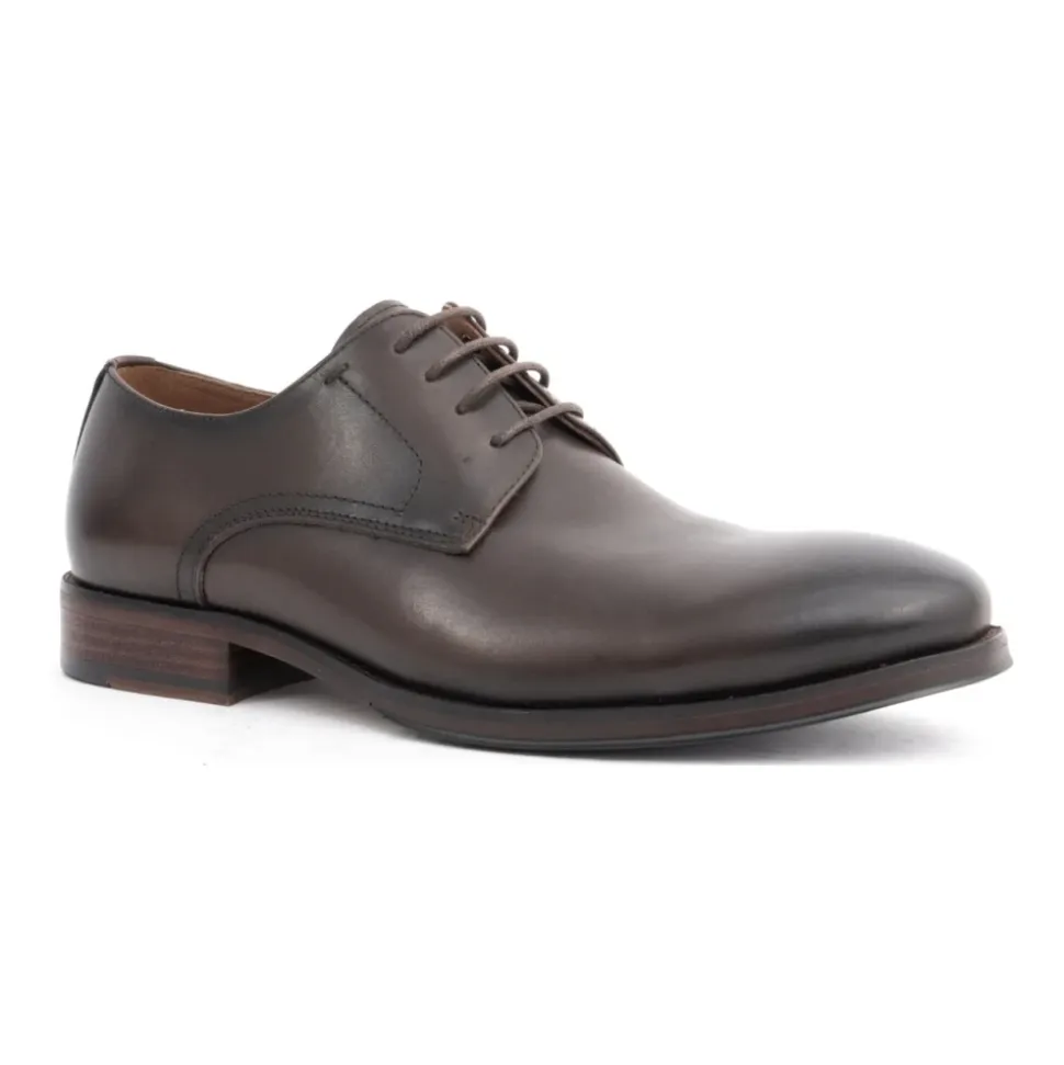 Zapatos Marrones Formales de Negocios